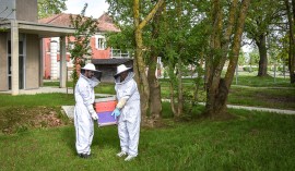 Installation de trois ruches à l’Énap : l’École s’engage dans la préservation de la biodiversité