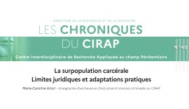 Visuel de la chronique du CIRAP n°40