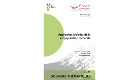 Vient de paraître : Dossier thématique « Approches croisées de la surpopulation carcérale », sous la direction de Laurent Gras et Guillaume Brie