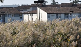 Enap - Les villages d'hébergement des élèves et stagiaires sur le campus