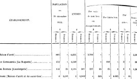 Statistiques pénitentiaires au 19ème siècle