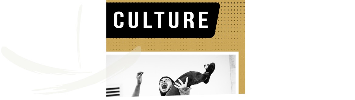 La programmation culturelle de novembre vient de paraître