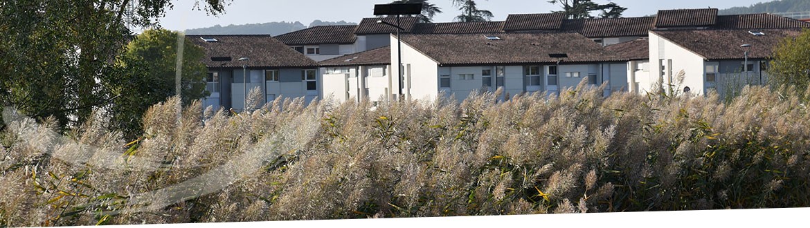 Enap - Les villages d'hébergement des élèves et stagiaires sur le campus Enap - Les villages d'hébergement des élèves et stagiaires sur le campus