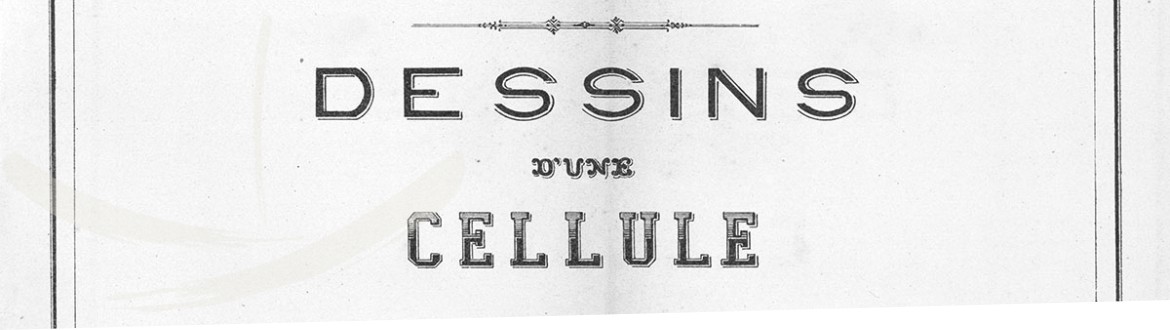 Dessins Cellule Angleterre