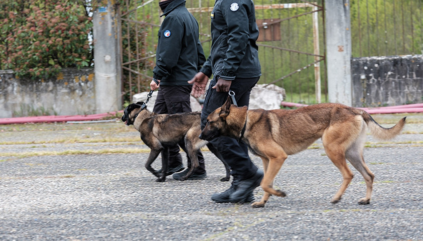 Sélection des défilants 2026 