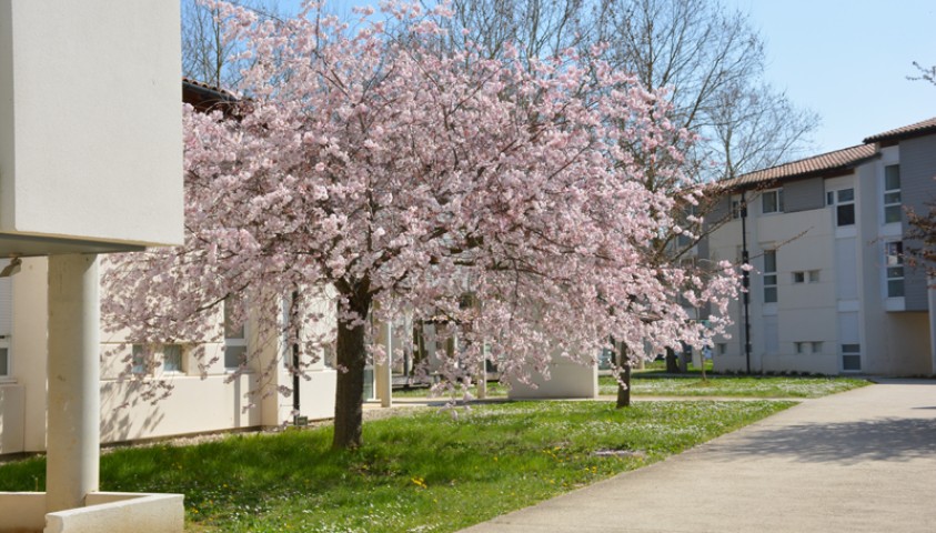 Enap - les villages d'hébergement