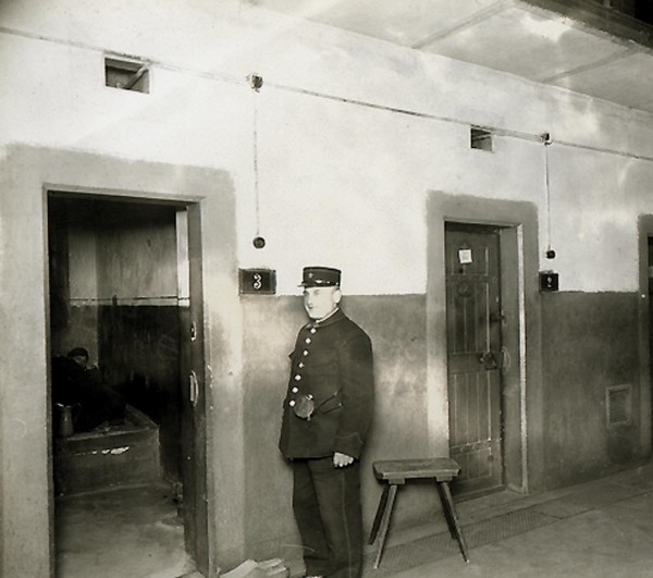 Inspection des cellules